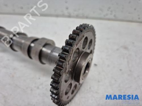 Other FIAT PUNTO (199_) 0.9 | BP31402331O1 