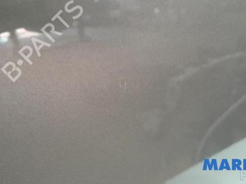 Right front door RENAULT GRAND SCÉNIC II (JM0/1_) 2.0 | BP31497333C3 