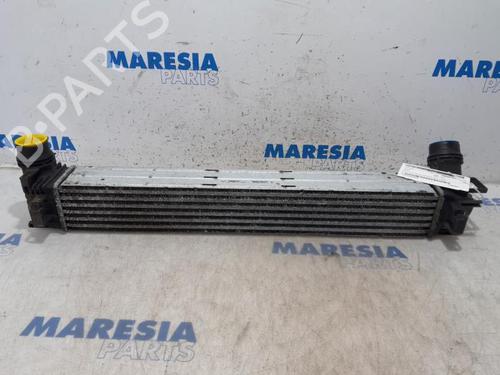 Intercooler RENAULT MEGANE III Hatchback (BZ0/1_, B3_) 1.4 TCe (BZ0F, BZ1V) (131 hp) 31532030