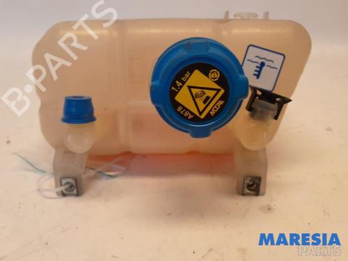 ekpansionstank-fiat-ducato-van-250_-2006-31396485 main image