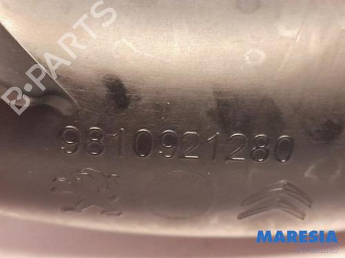 Pipe PEUGEOT PARTNER Box Body/MPV (K9) 1.5 BlueHDi 100 | BP31397895M125