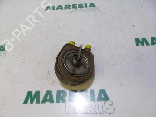 Oil radiator RENAULT MEGANE II Estate (KM0/1_) 1.9 dCi (KMRG, KM1G, KM0G, KM2C) | BP31443003M33