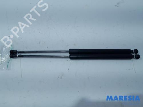 gassdemper-bakluke-citroen-c3-ii-sc_-2009-31462046 main image