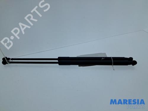 Used Tailgate lift support Tailgate lift support CITROËN C1 II (PA_, PS_) 1.0 VTi 68 (69 hp) 33803125 33803125