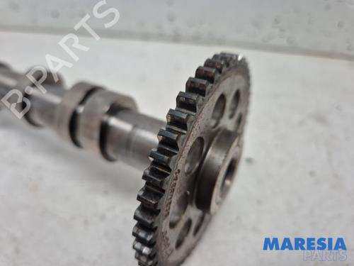 Other FIAT PUNTO (199_) 0.9 | BP31402331O1 