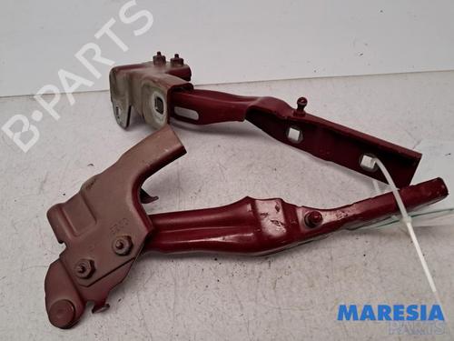 Used Hinge/Door check strap ALFA ROMEO GIULIETTA (940_) 1.4 TB (940FXB1A, 940FXB11) (170 hp) 31410171