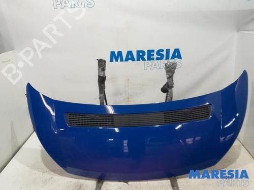 Used Hood Hood PEUGEOT EXPERT Van (VF3A_, VF3U_, VF3X_) 2.0 HDi 120 (120 hp) 31448206 31448206