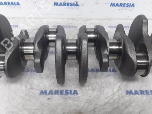 BP31417039O1 main image