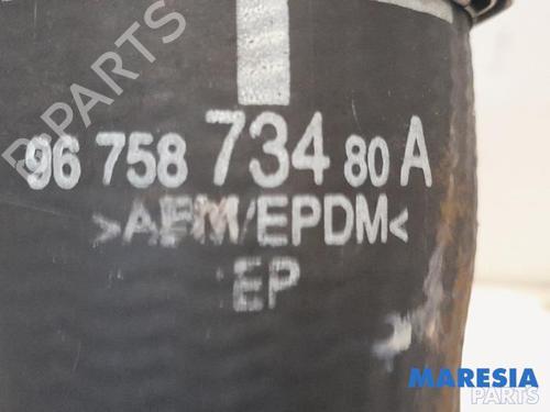 Pipe CITROËN C4 Picasso II 1.6 THP 155 | BP31509513M125