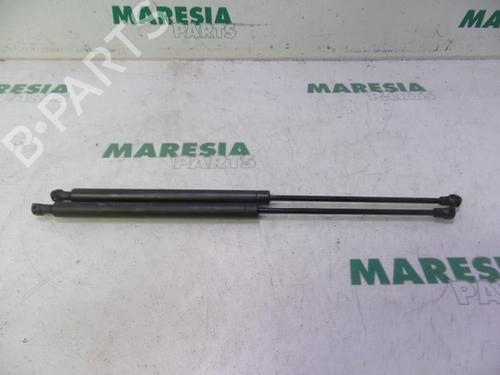 tailgate-lift-support-peugeot-206-hatchback-2ac-1998-1999-2000-2001-2002-2003-2004-2005-2006-2007-2008-2009-2010-2011-2012-31526017 main image