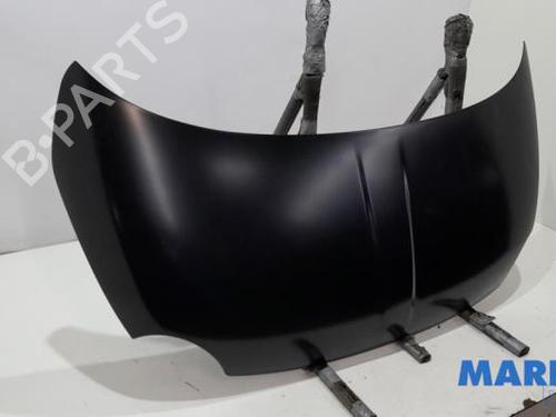 Hood FIAT 500 (312_) 0.9 (312AXG1A, 312.AXG11) | BP31391162C1