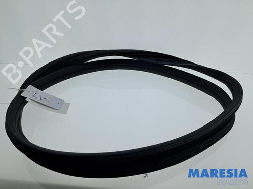 rubber-door-seal-lancia-delta-iii-844_-2008-2009-2010-2011-2012-2013-2014-32281217 main image