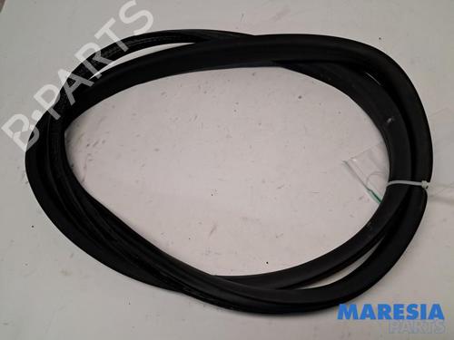 Gummilist RENAULT CLIO V (B7_) 1.0 TCe 100 (B7MT) (101 hp) 31499595