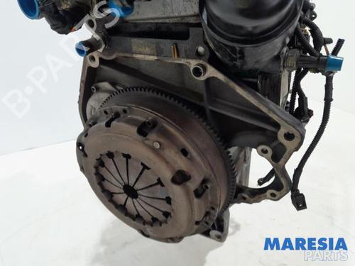 Engine LANCIA YPSILON (312_) 0.9 TwinAir (312.PXG11, 312.PXG1A, 312.YXG11, 312.YXG1A) | BP31403239M1 