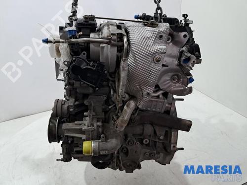 Used Engine ALFA ROMEO GIULIA (952_) 2.0 (952ABA25B) (200 hp) 31503369