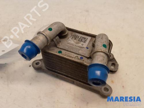 Used Oil radiator RENAULT CLIO IV Grandtour (KH_) 0.9 TCe 90 (90 hp) 31474829