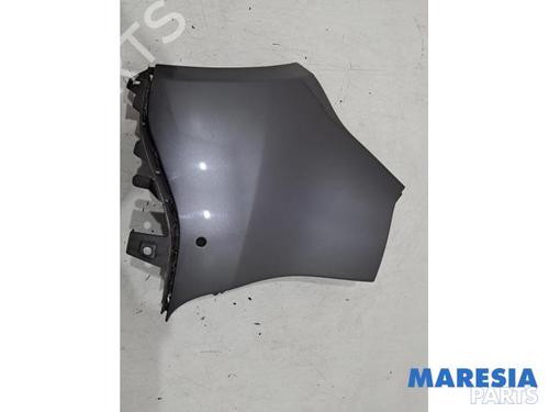 Puntera paragolpes RENAULT SCÉNIC III (JZ0/1_) 1.6 16V (JZ0U, JZ1B) (110 hp) 31672869