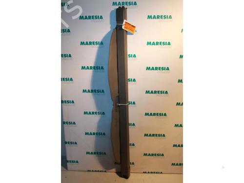 Hattehylde RENAULT SCÉNIC II (JM0/1_) 1.5 dCi (JM1E, JM16) (106 hp) 31526124