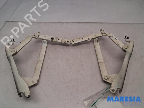 Hinge/Door check strap ABARTH 500C / 595C / 695C 1.4 (312.AXF1A, 312.AXF11, 312.AXD1A) | BP39896458C146 - Image 4