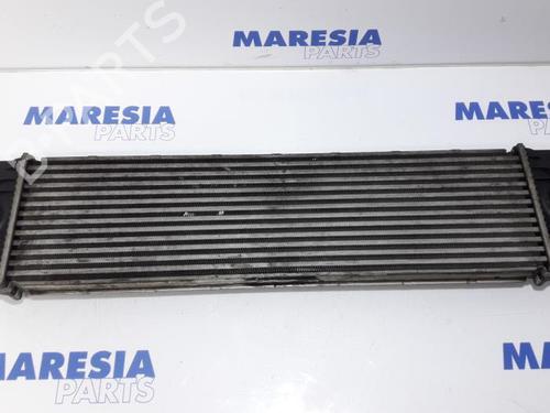 Intercooler RENAULT MASTER II Van (FD) 2.5 dCi 120 (FD0M, FD0U, FD0W, FD2M, FD2W, FD3M, FD3U,... (115 hp) 31386266
