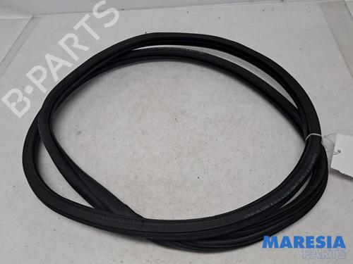 gummiliste-citroen-c3-iii-sx-2016-31425351 main image