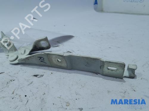 Hinge/Door check strap CITROËN DS3 (SA_) 1.4 VTi 95 | BP31524653C146