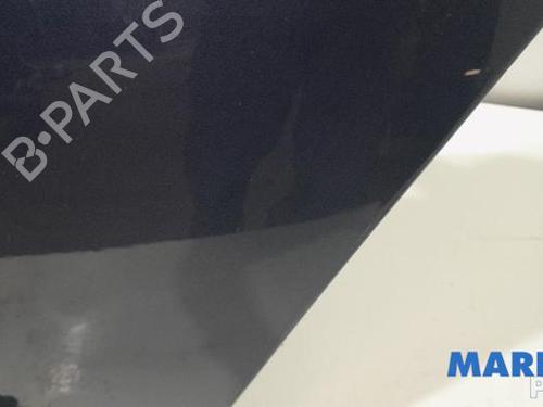 Hood CITROËN C4 Picasso I MPV (UD_) 1.6 16V | BP31469946C1 