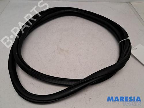 Gummiliste CITROËN C3 III (SX) 1.2 PureTech 82 (83 hp) 31516791