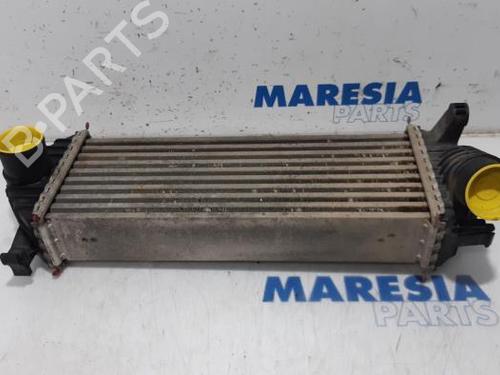 Intercooler RENAULT KANGOO Express (FW0/1_) 1.5 dCi 85 (FW0K, FW0L, FW0B) (86 hp) 31445750
