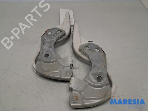 BP31516295C146 main image