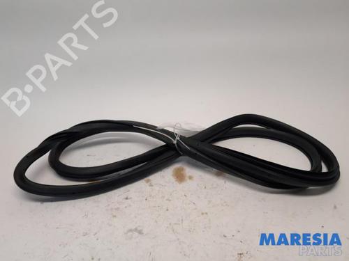 Gummiliste RENAULT KADJAR (HA_, HL_) 1.6 TCe 165 (HLMH) (163 hp) 31495641