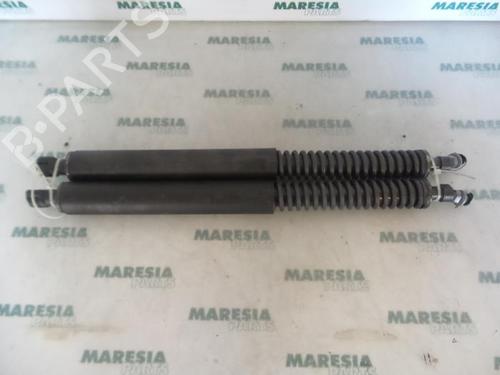 tailgate-lift-support-peugeot-307-cc-3b-2003-2004-2005-2006-2007-2008-2009-31436417 main image