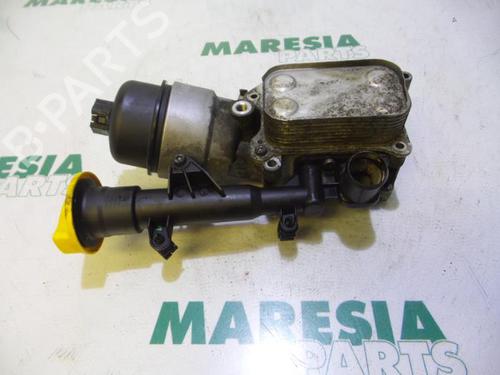 Other FIAT DOBLO Cargo (263_) 1.3 D Multijet | BP31448487O1