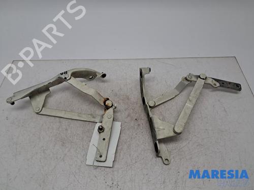 Cerniera/Tirante porta Cerniera/Tirante porta FIAT 500 C (312_) 1.2 (312CXA1A, 312AXA1A) (69 hp) 36985512 36985512