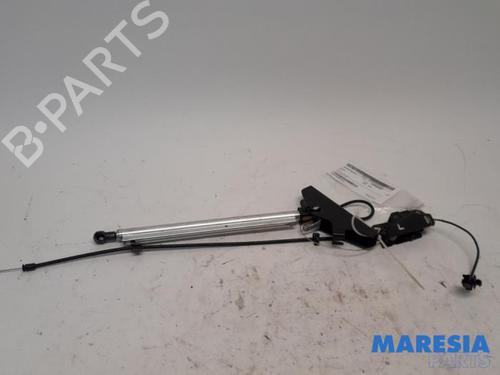 Used Switch PEUGEOT 307 CC (3B) 2.0 16V (177 hp) 31423113