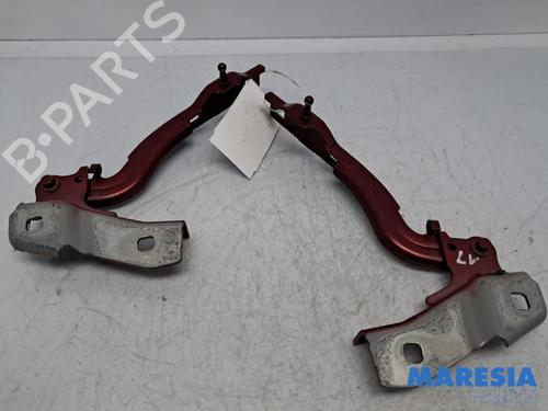 Used Hinge/Door check strap ALFA ROMEO GIULIA (952_) 2.9 Quadrifoglio (952AAM24) (510 hp) 31459754