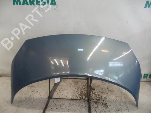 Used Hood RENAULT GRAND SCÉNIC II (JM0/1_) 1.9 dCi (JM0G, JM12, JM1G, JM2C) (120 hp) 31513129