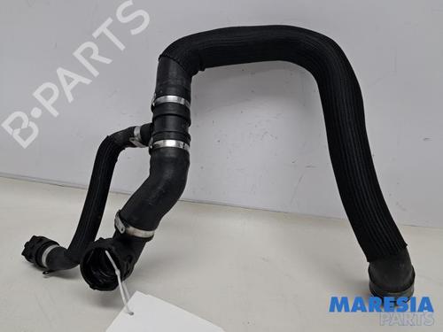 Rohr für ALFA ROMEO GIULIA (952_) 2.9 Quadrifoglio (952AAM24) (510 hp) 32011891