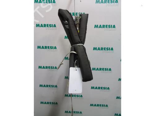 left-curtain-airbag-renault-scenic-ii-jm01_-2003-2004-2005-2006-2007-2008-2009-2010-31450502 main image