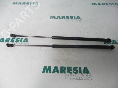 gasdmper-bagklap-peugeot-1007-km_-2005-31501087 main image