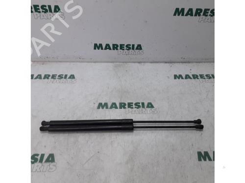 tailgate-lift-support-citroen-c3-picasso-sh_-2008-31468481 main image