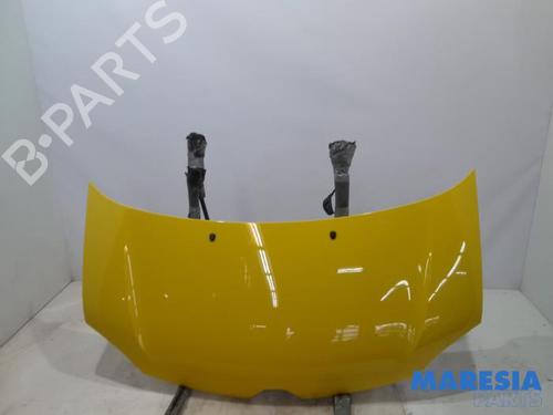 Used Hood RENAULT TWINGO III (BCM_, BCA_) 1.0 SCe 70 (71 hp) 31535840