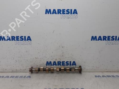 Used Other FIAT PANDA (169_) 1.2 (169.AXB11, 169.AXB1A) (60 hp) 31464416