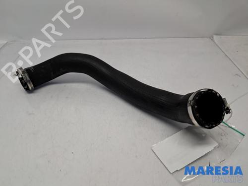 BP31513942M125 main image