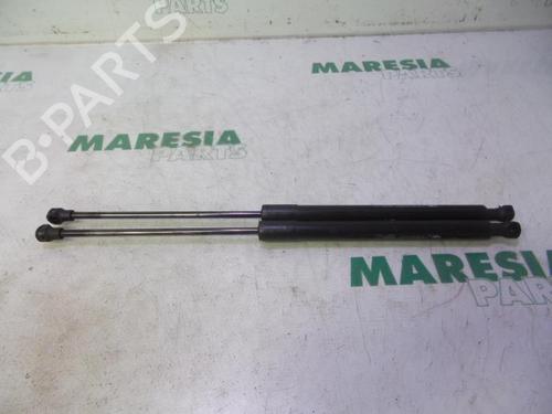 Gasdæmper bagklap CITROËN C3 II (SC_) 1.6 HDi (92 hp) 31524625