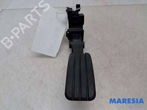 Pedal RENAULT MEGANE III Grandtour (KZ0/1) 2.0 CVT (KZ0G, KZ1P) (140 hp) 31425505