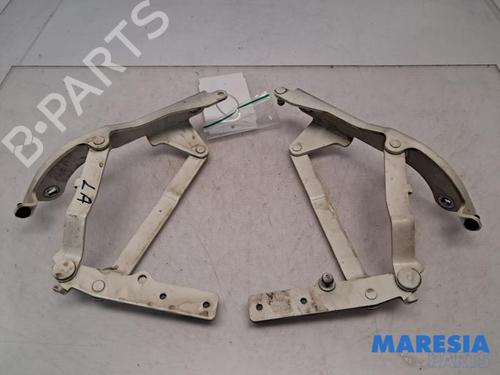 Hinge/Door check strap ABARTH 500C / 595C / 695C 1.4 (312.AXF1A, 312.AXF11, 312.AXD1A) | BP39896458C146 - Image 3