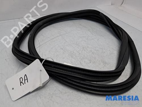 Gummiliste CITROËN C4 CACTUS 1.2 VTi 82 (82 hp) 31531254