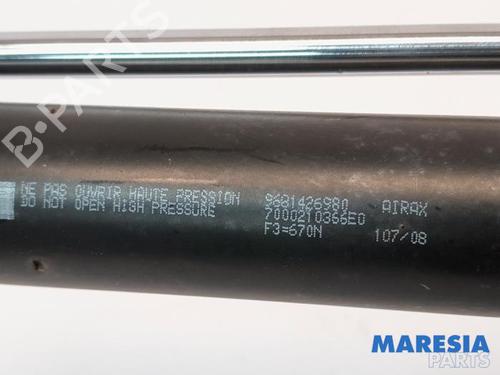 Gasdæmper bagklap CITROËN BERLINGO MULTISPACE (B9) 1.6 | BP31470491C138