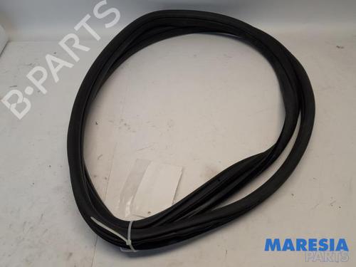 Gummiliste FIAT 500 (312_) 1.2 (312AXA1A) (69 hp) 31500909